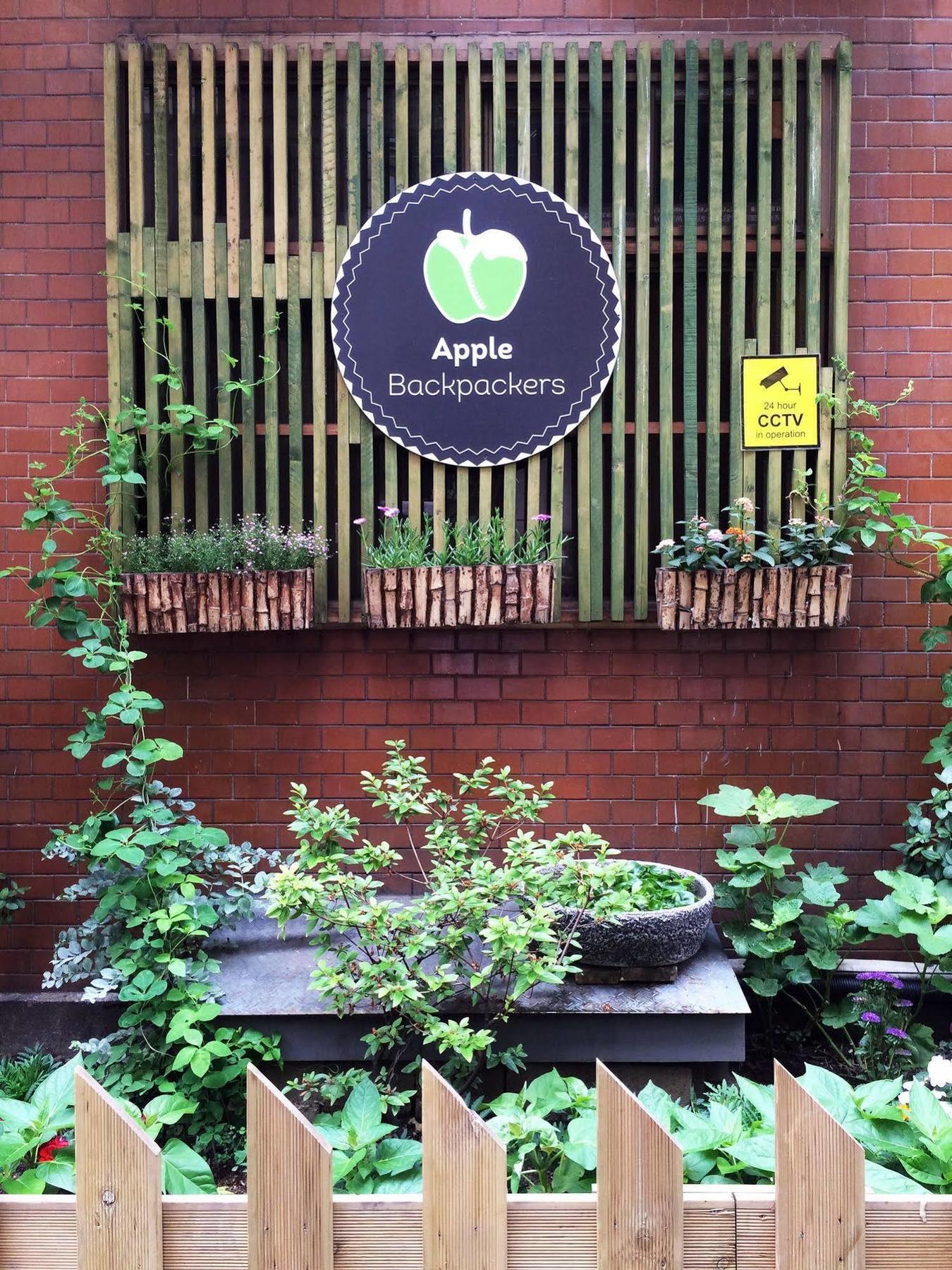 הוסטל סיאול Apple Backpackers מראה חיצוני תמונה